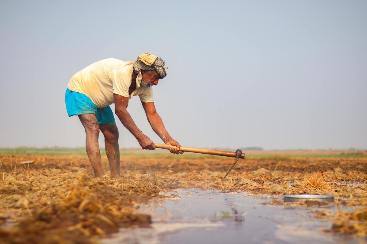 Food Crisis Exposed: Somalia's Quest for Sustainable Agriculture
