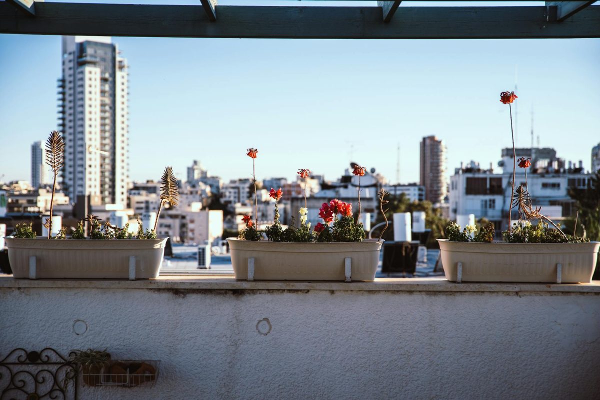 How To Start Your Urban Farm in 5 Easy Steps