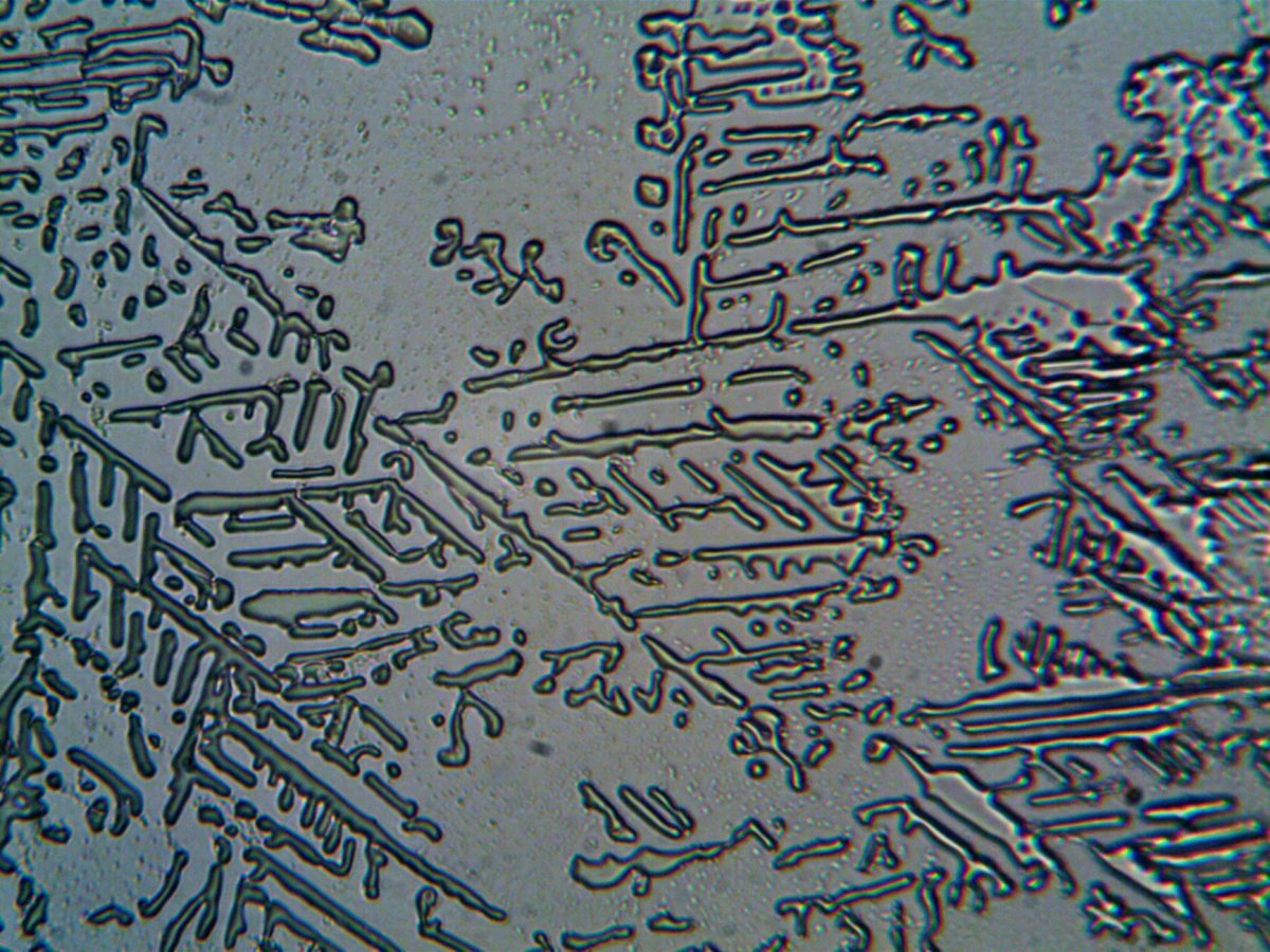 Breaking: Surface Growth Just Changed Everything — Here's What Happens Next