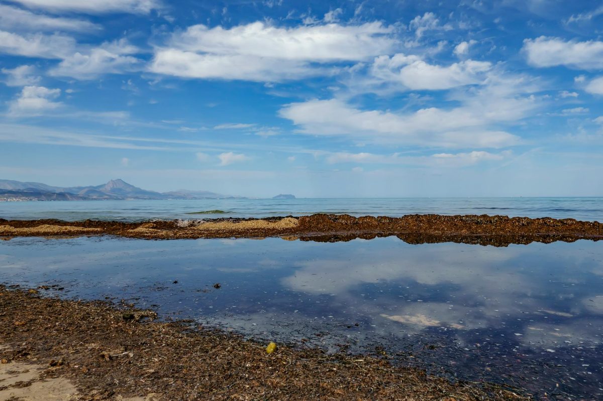 Nigerians Given Go-Ahead to Sue Shell in UK Court over Oil Spills