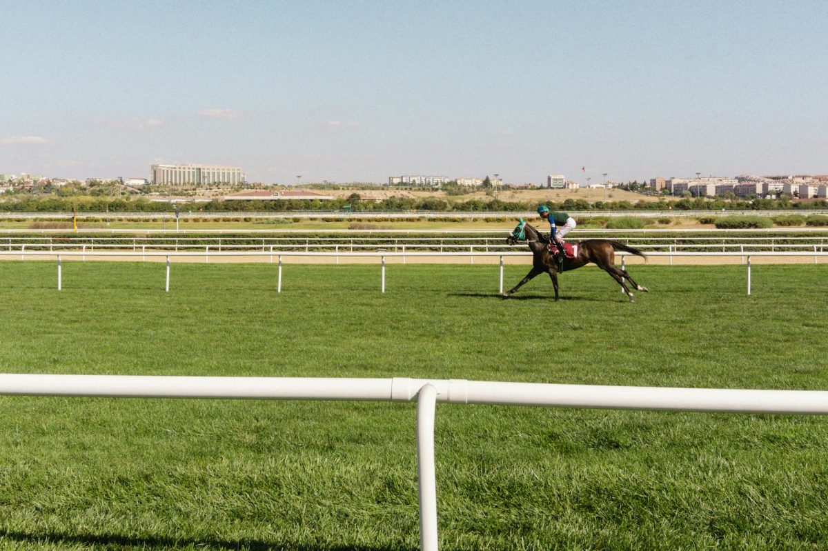 Unpacked: Horse Racing Tips — Thursday 3 March — The Facts and the Real Story