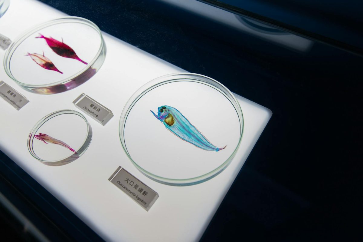 London's Museum of Water Human Life in All Its Forms