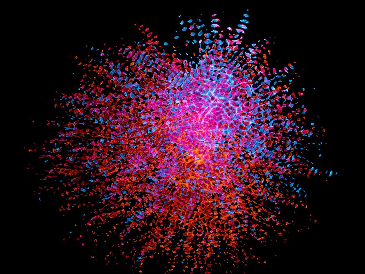 Fibroblast Subtype Found Essential for Coordinating Immune Cells within Lymph Nodes