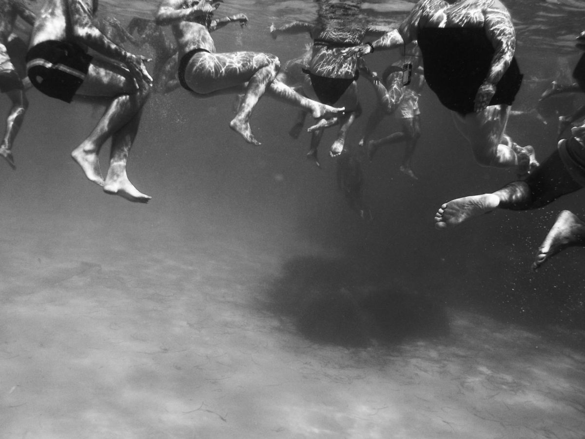 Shots Ring Out at Correspondents' Dinner: Witnesses Describe Chaos