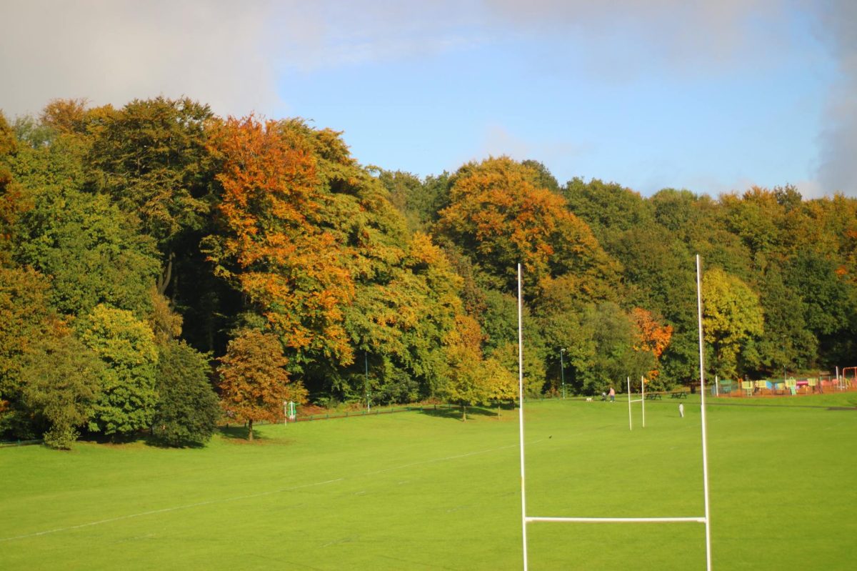 Gloucester dent Exeter's playoff hopes with 34-31 win, Llewellyn and Trenholm double up