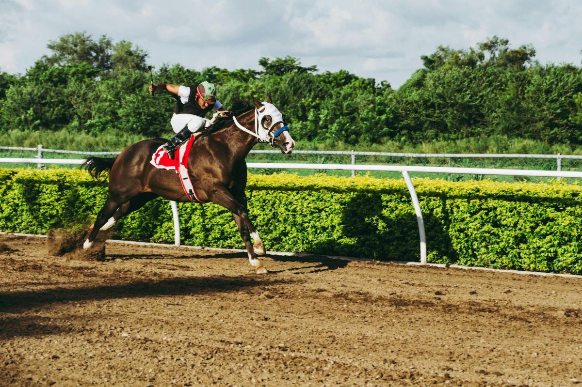 Cherie DeVaux Makes History as First Woman to Train Kentucky Derby Winner Golden Tempo
