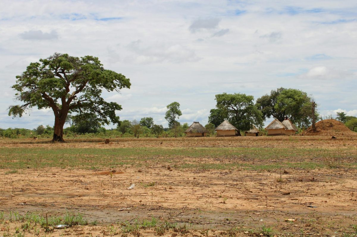 Somalia on the Brink of Catastrophe: Hunger Crisis Worsens Amid Drought