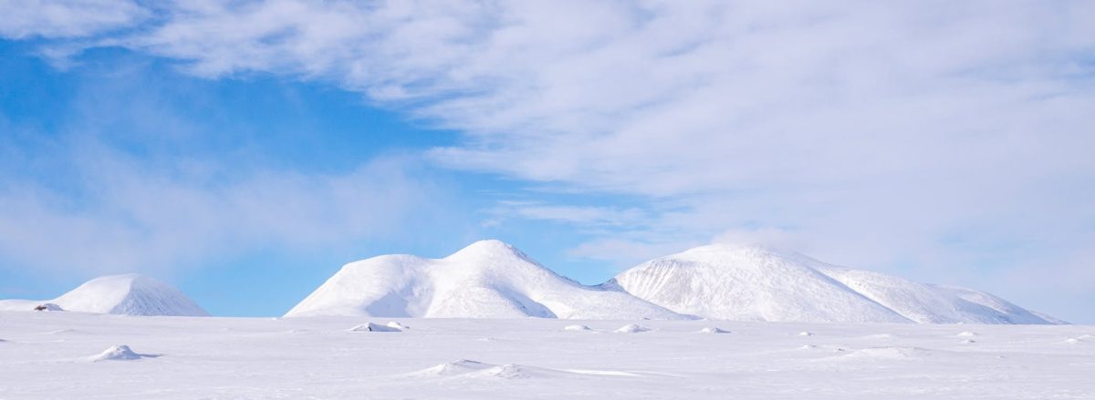 Deep Dive: US in Closely-Guarded Talks to Open New Bases in Greenland — A Complete Breakdown —