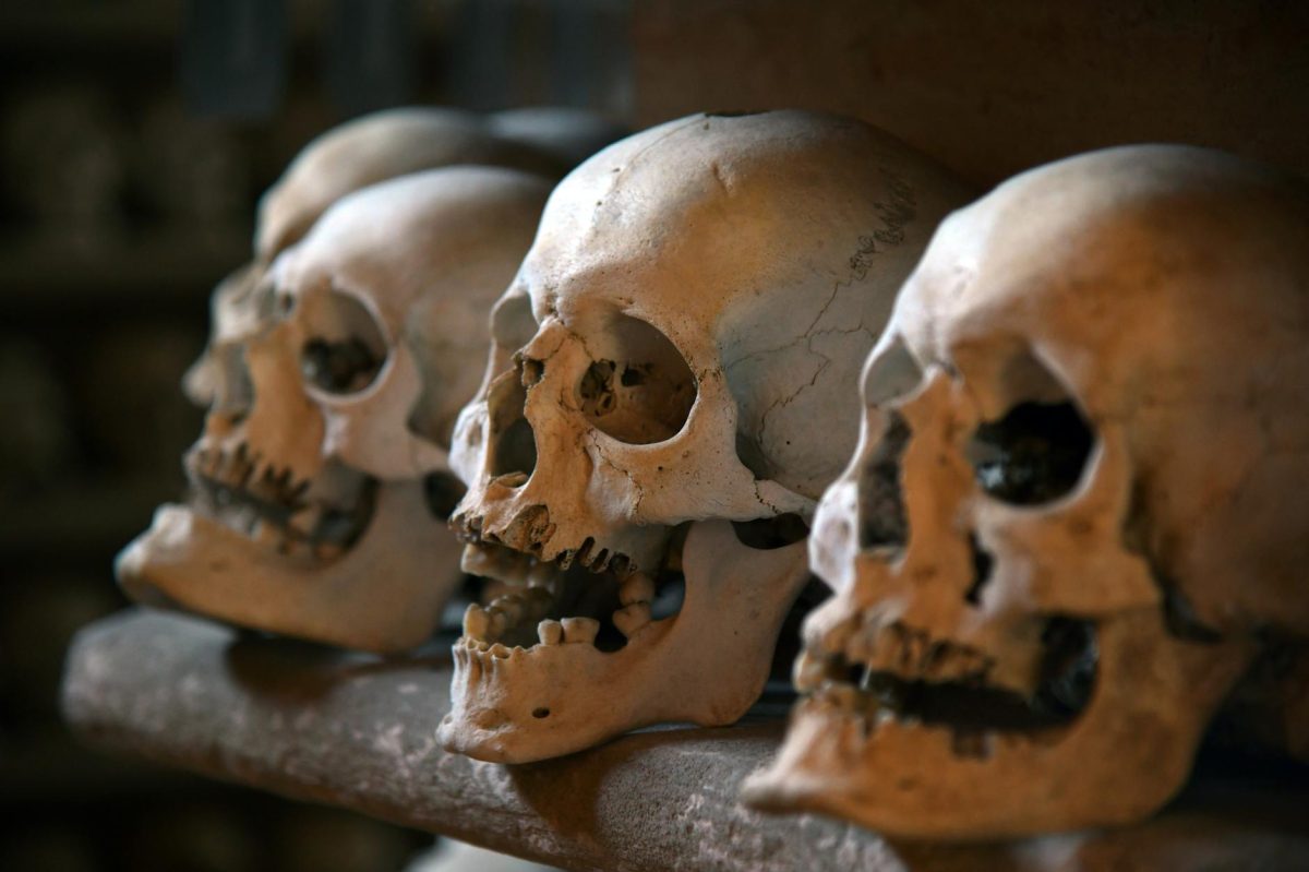 Ladro rouba crnio de aproximadamente 800 anos em baslica na Repblica Tcheca, autor ainda no identificado
