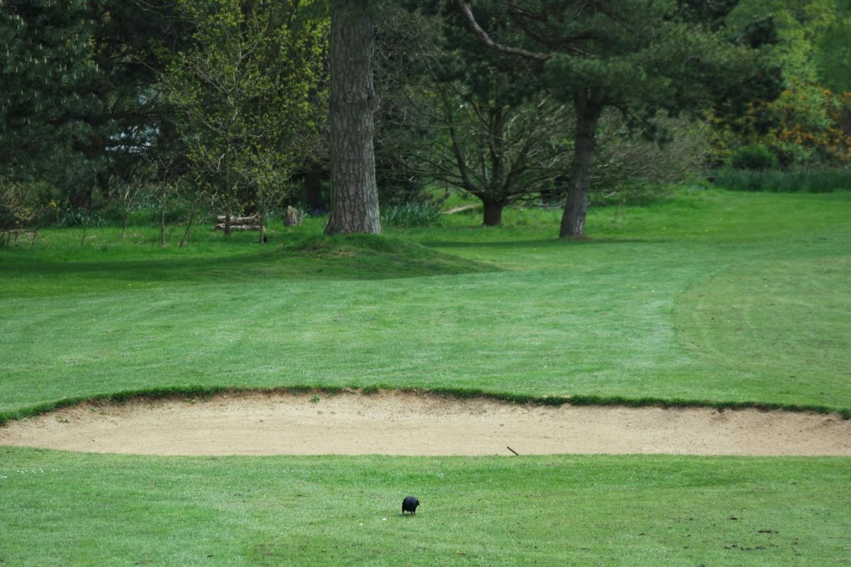 Challenge: Can Anyone Fix Course Conditions at Aronimink Golf Club? We Looked at the Evidence
