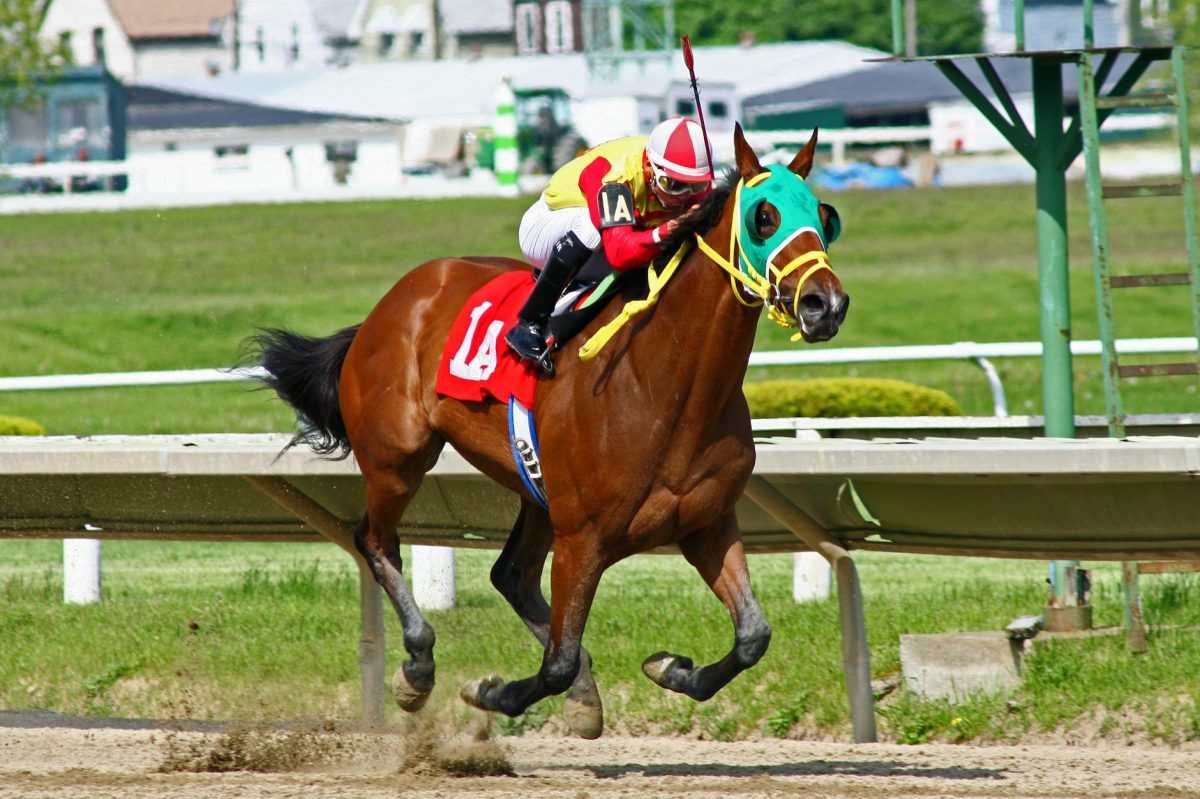 Napoleon Solo Holds Off Iron Honor to Win Preakness, First Victory of the Year