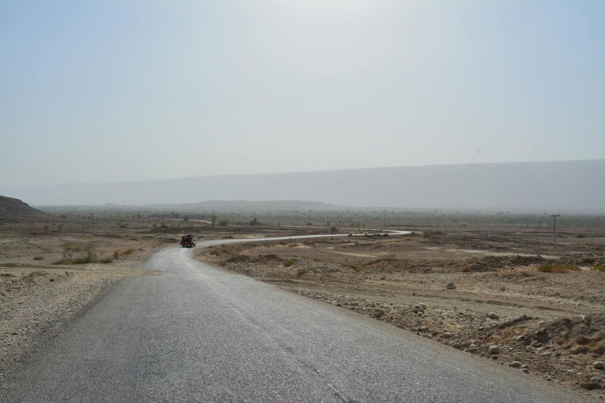 Activists Complete Land Convoy from Libya to Gaza, Delivering Aid to Struggling Region