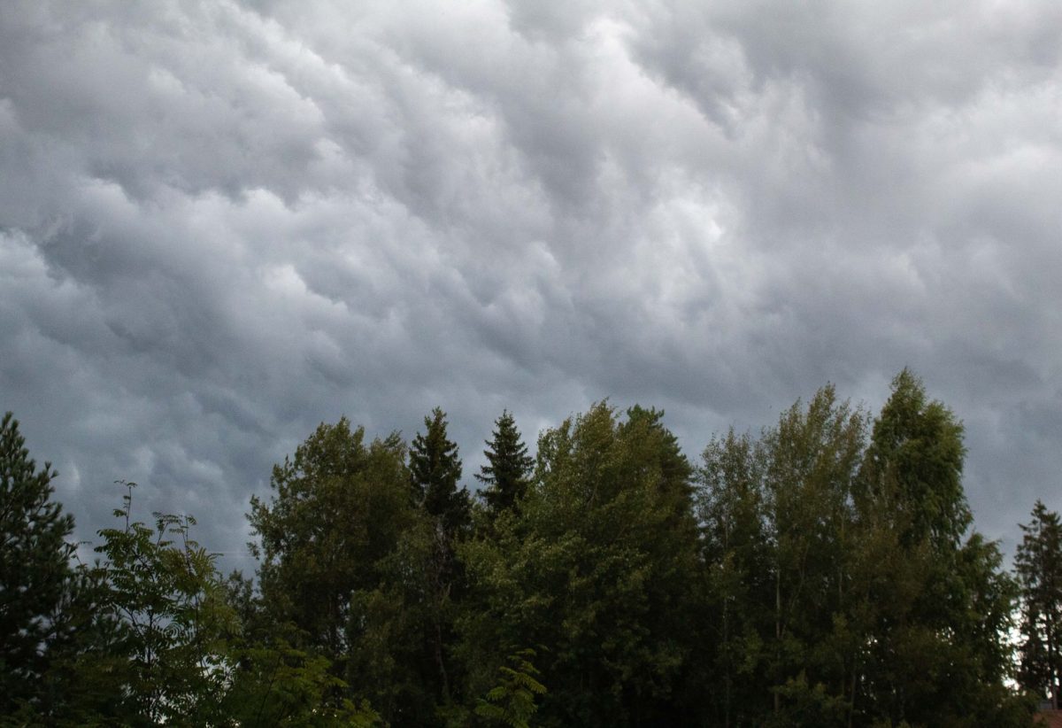 Severe Thunderstorms Expected in KwaZulu-Natal on Saturday; Foggy Mornings Elsewhere