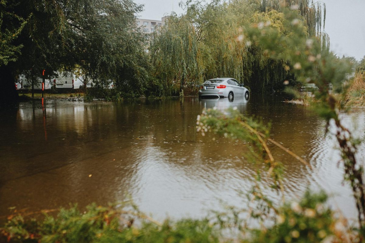 Waymo Halts Robotaxis in Five US Cities After Cars Drive into Flooded Roads