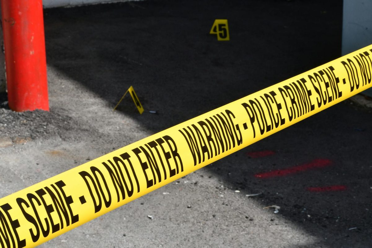 Henry Nowak Murder Investigation: Autopsy Reveals Cause of Death, No Arrests Made Yet