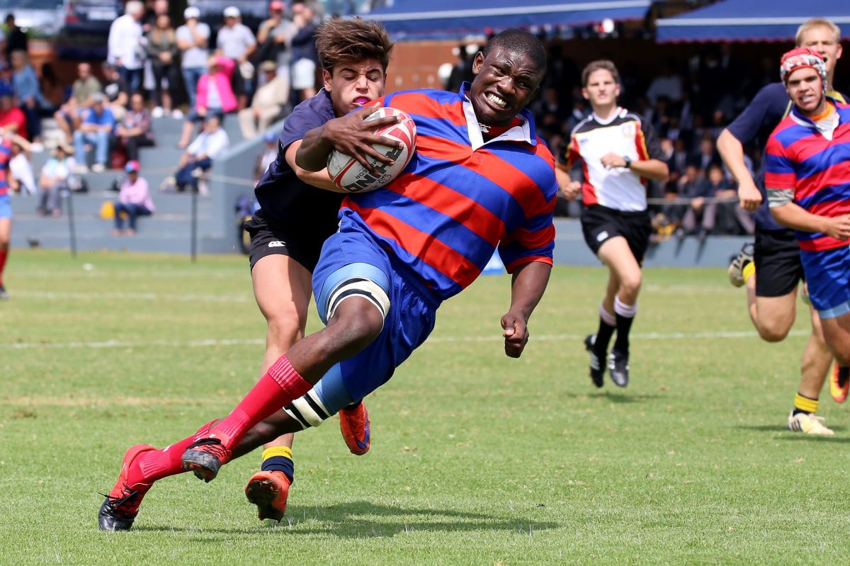 Embrose Papier Named SA's URC Player of the Season, Bulls Scrumhalf Rewarded for Stellar Campaign