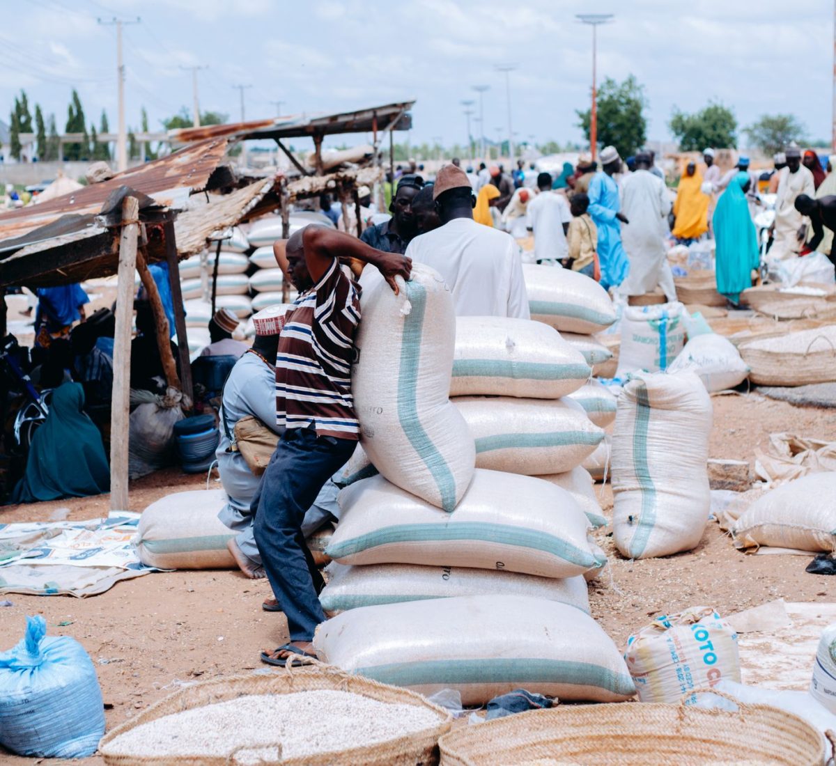 Somalia Food Lines Expand as Hormuz Crisis Ripples Through Global Aid Networks