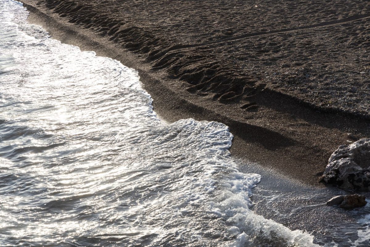 Deadly Mindanao Quake Raises Seabed, Devastating Marine Life