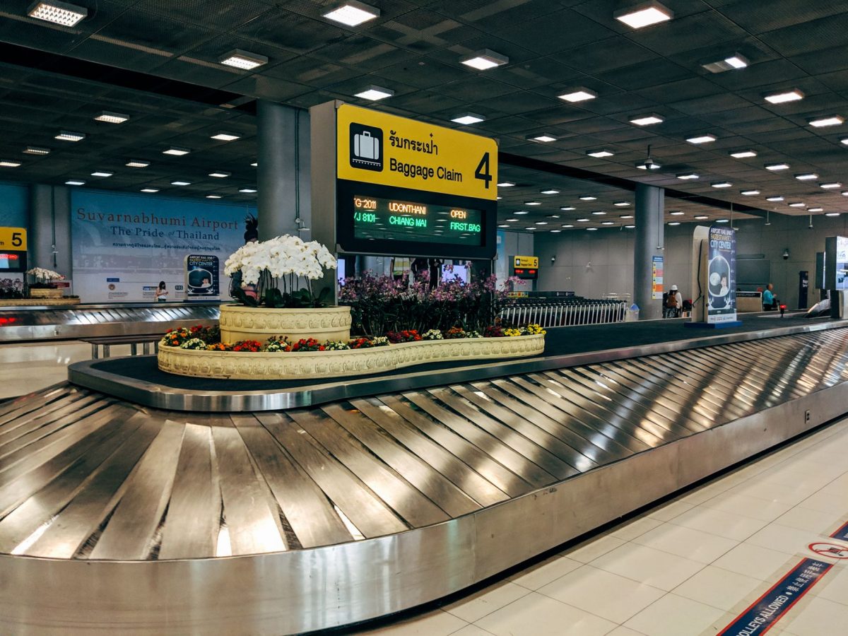 Man Arrested at Cape Town Airport with 150 Live Scorpions in Luggage