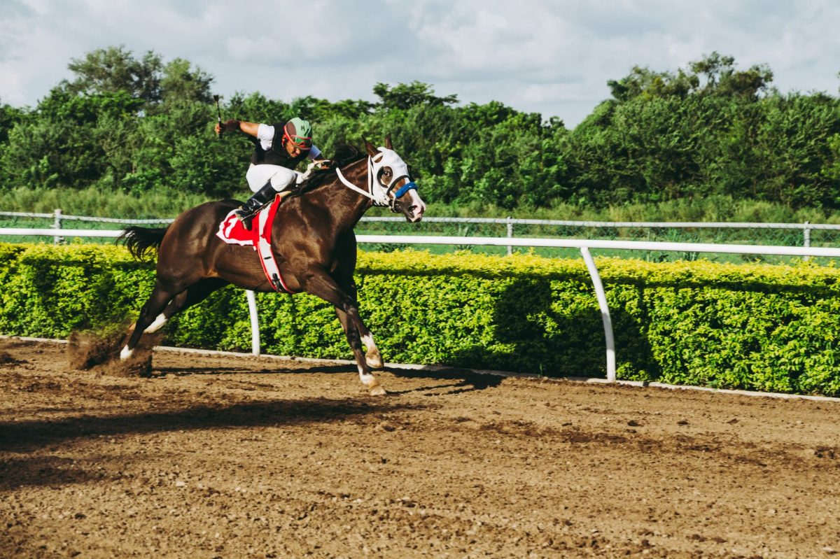 Venetian Sun Shines in Commonwealth Cup