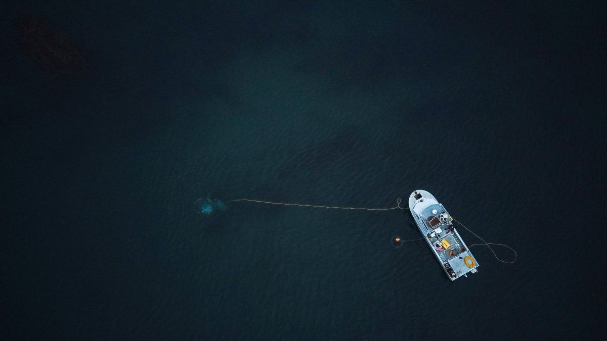 Impact: China Tests World's First Smart Squid Fishing Robot in Deep-Water Fishery