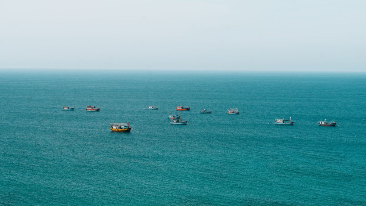 Future: What Happens Next With Chinese Firms Controlling Argentine Squid Fleet
