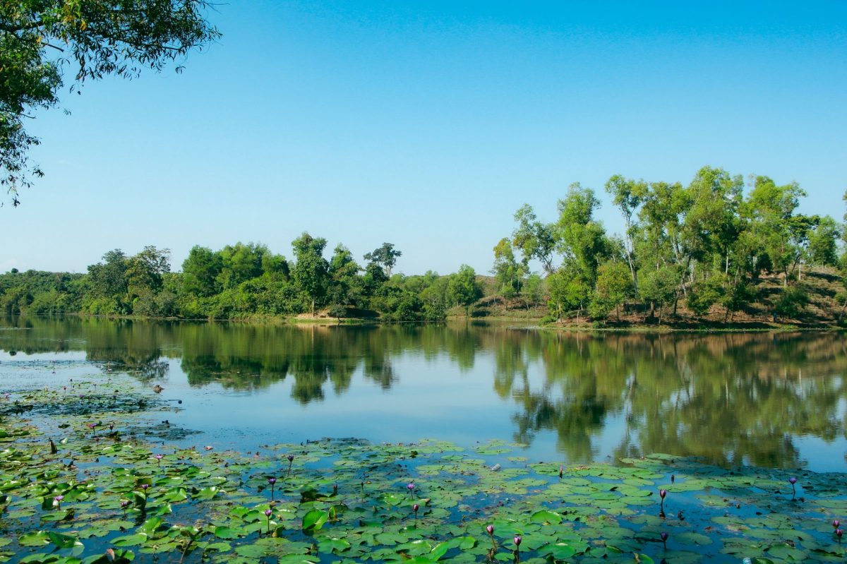 Hyderabad's Lake Man of India Eyes 151st Restoration Project