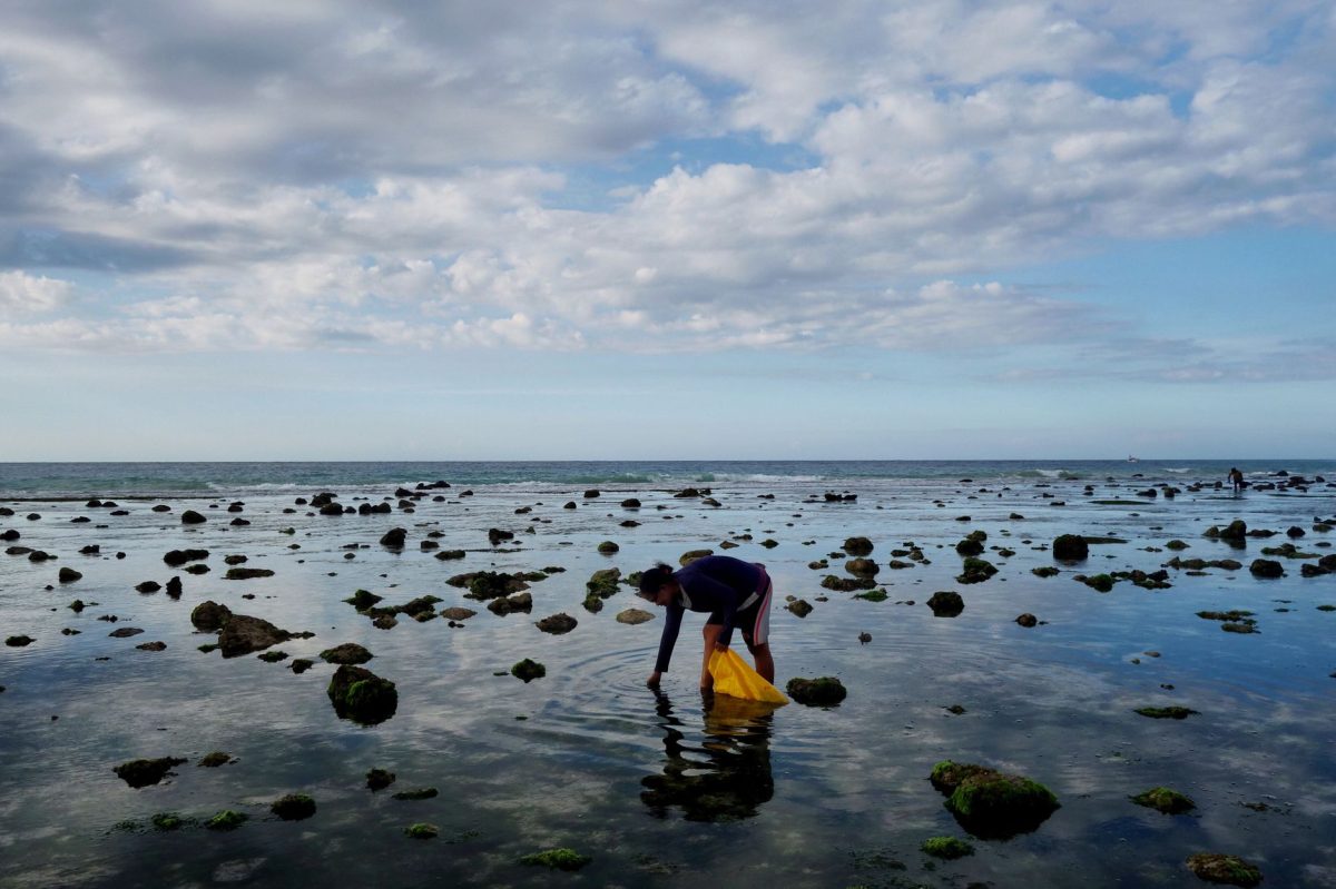 Impact: Mombasa Women Leaders Demand Recognition for Ocean Conservation Efforts