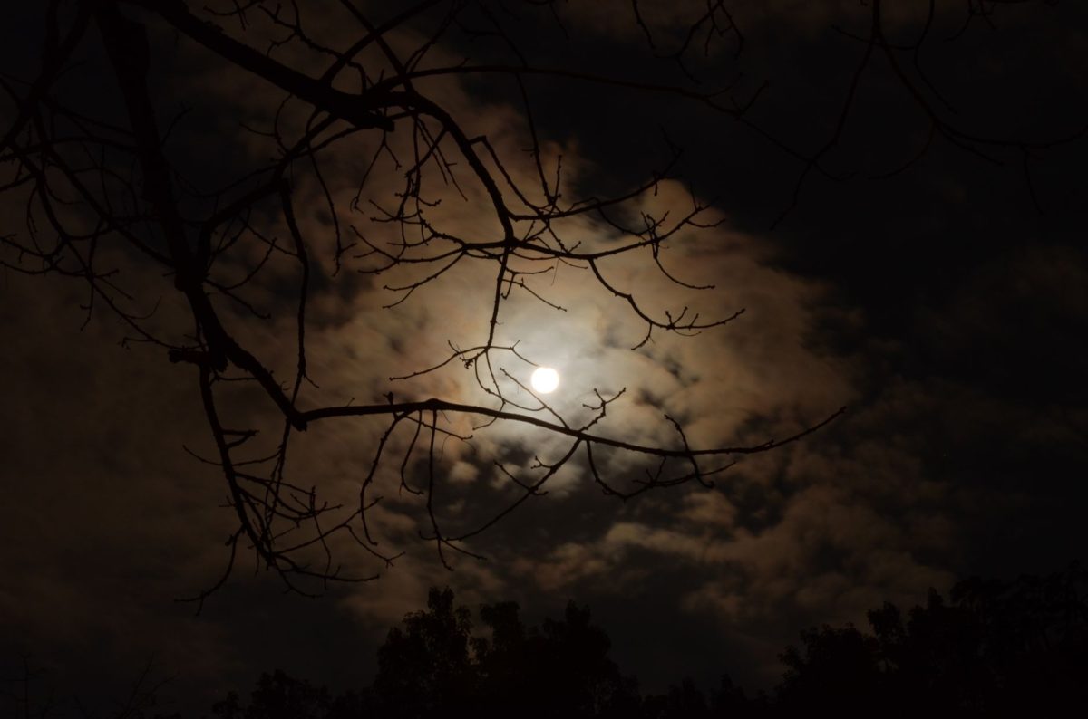 Full Strawberry Moon to Rise Across UK Skies Tonight