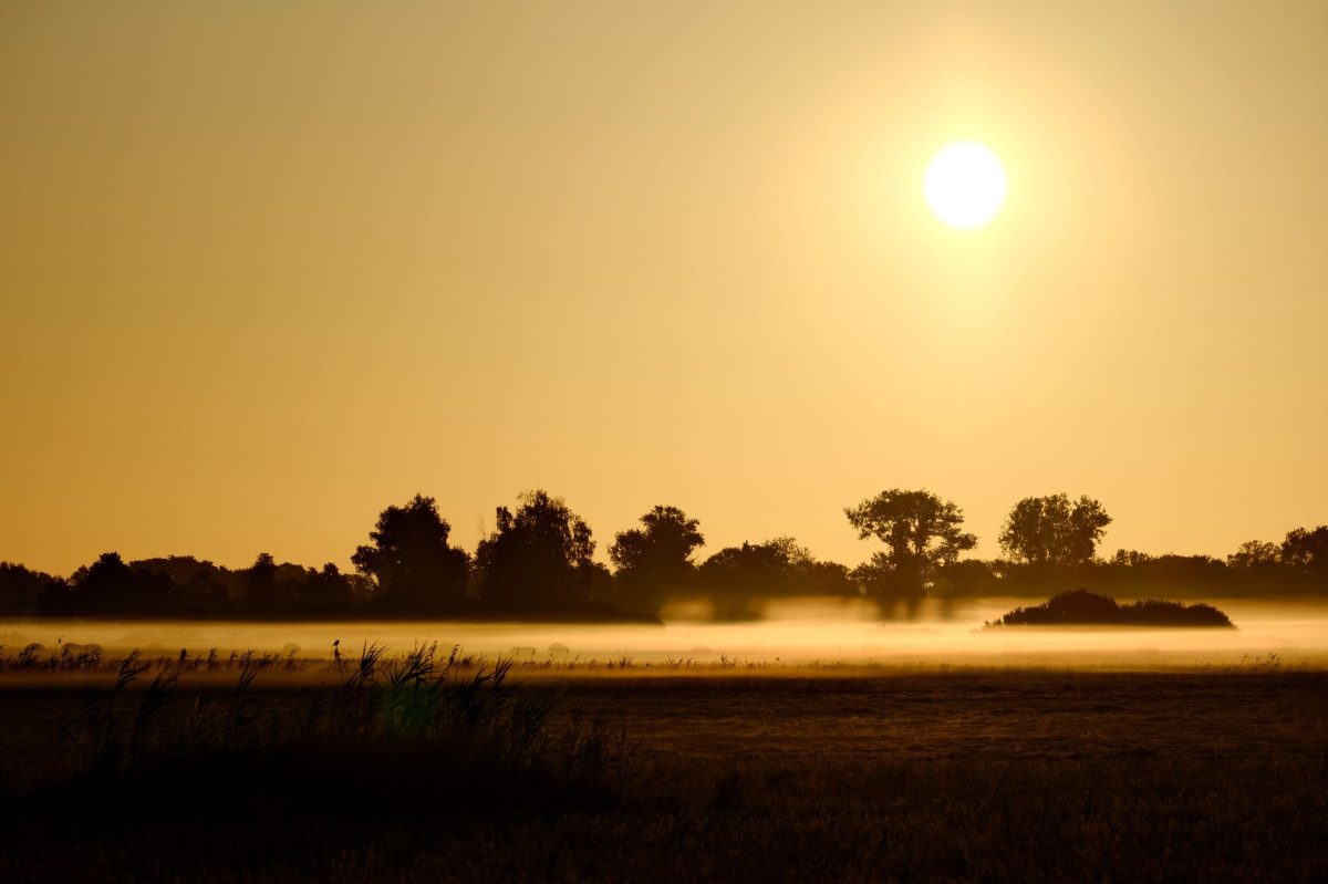 Inside The Heat Dome Story The National Weather Service Warnings Buried — A 'Dangerous Heat' Wave Affects Millions Across U.S. This July 4 Weekend