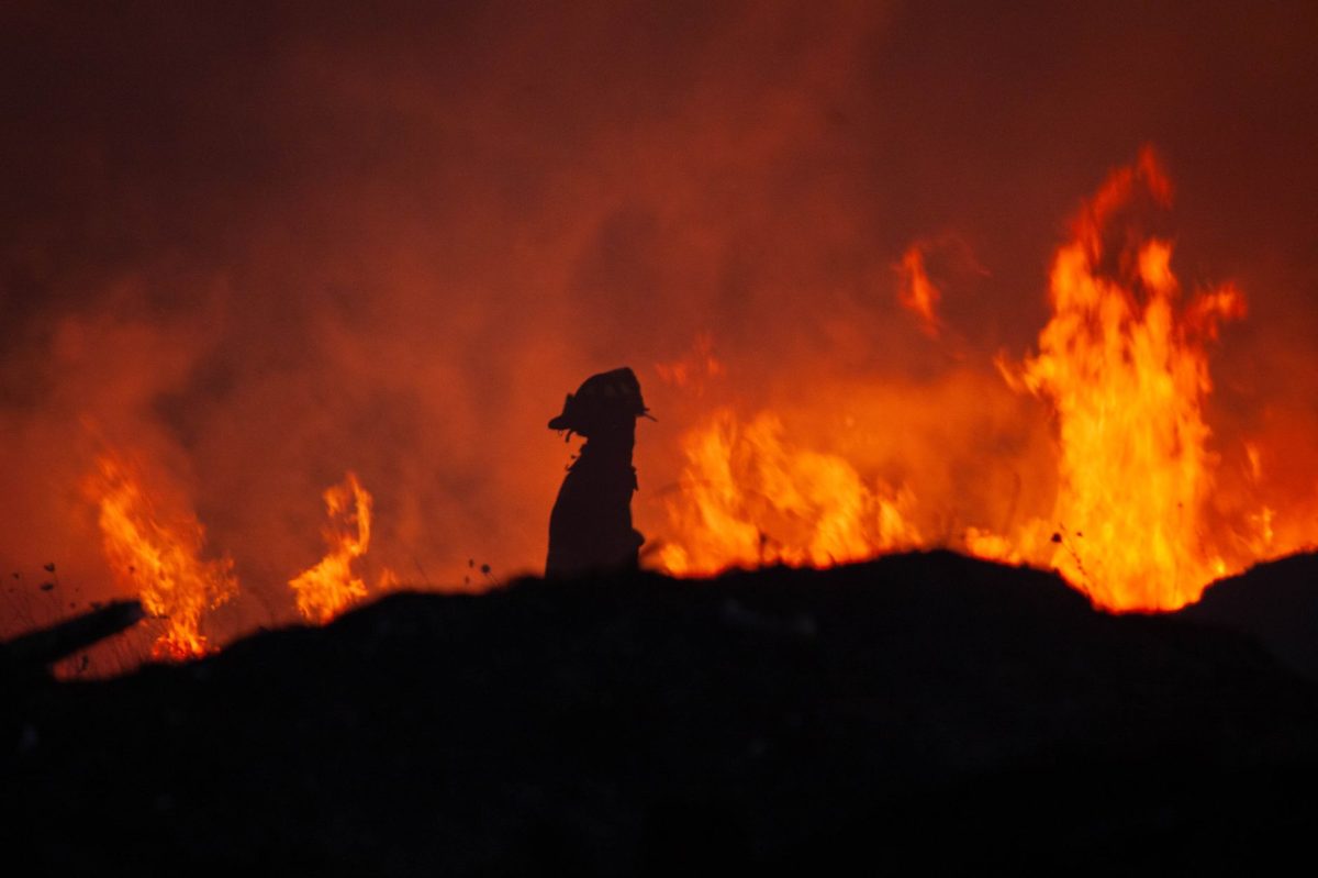 Scientists Just Discovered a Devastating Pattern in Greek Wildfires That Threatens Human Lives and the Environment