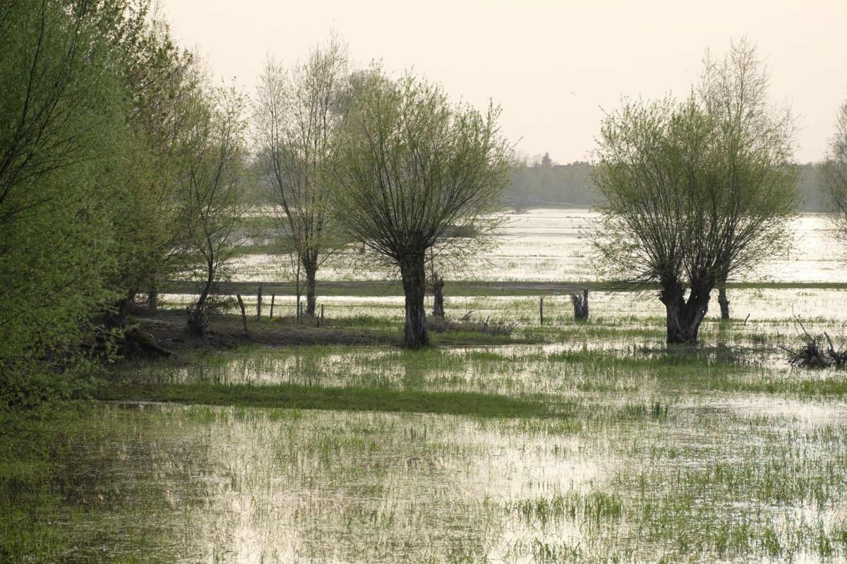 Scientists Uncover Hidden Patterns in Historic Missouri Flooding
