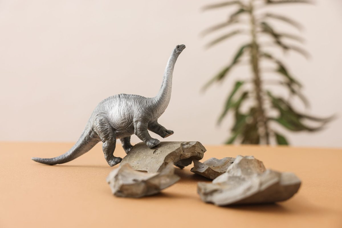 T. rex fossil valued at $30m could become most expensive ever