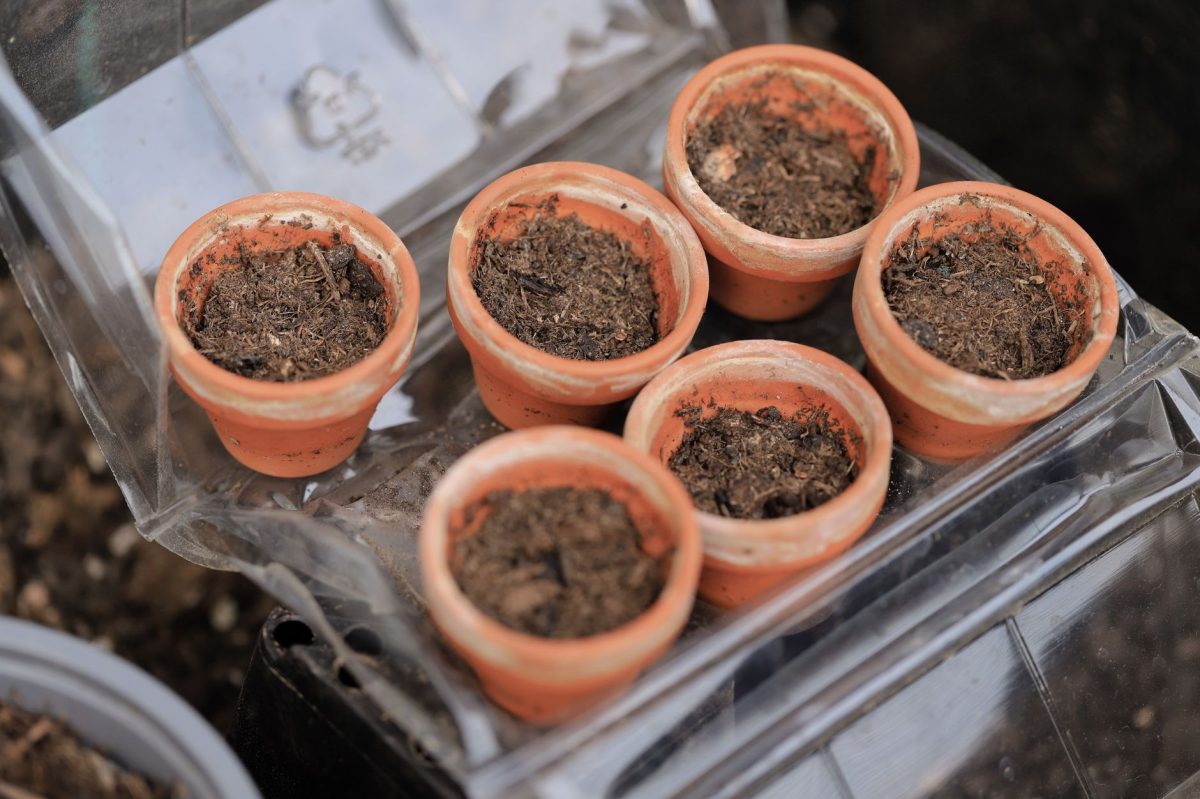 37-Year Soil Experiment Reveals Hidden Climate Threat: Microbes Break Down Stable Carbon