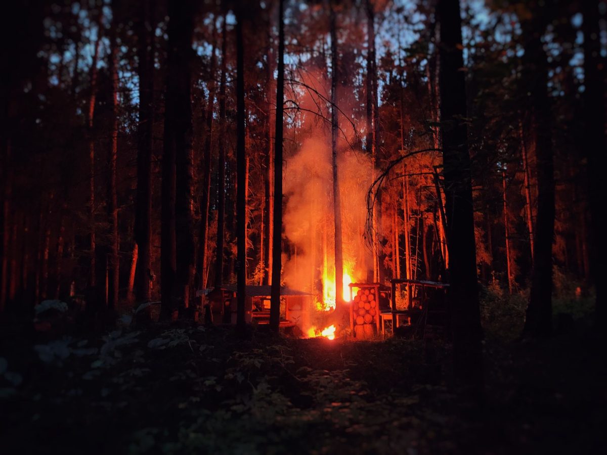 Firefighters Contain Fontainebleau Forest Fire Near Paris, Over 2,000 Hectares Burned