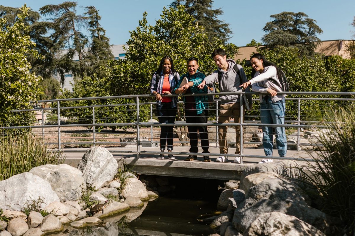 Tokyo Aims to Strengthen International Education Profile with New York University Campus Acquisition