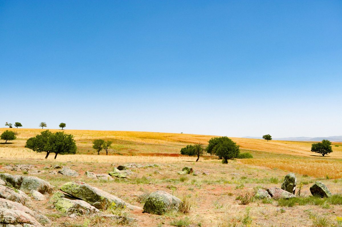 UK's Drought Continues: July's Dry Spell Raises Concerns About Upcoming Rainfall