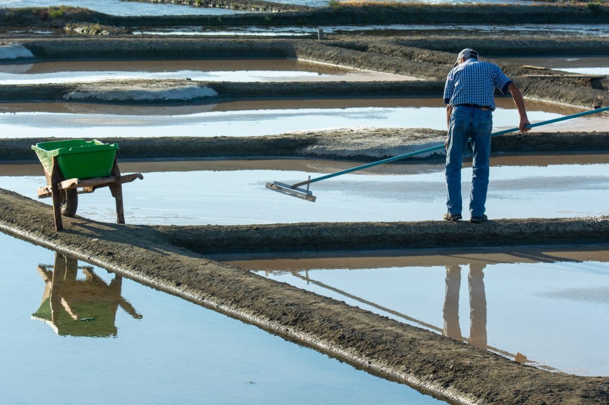 India's Salt Workers Bear Brunt of Booming Industry