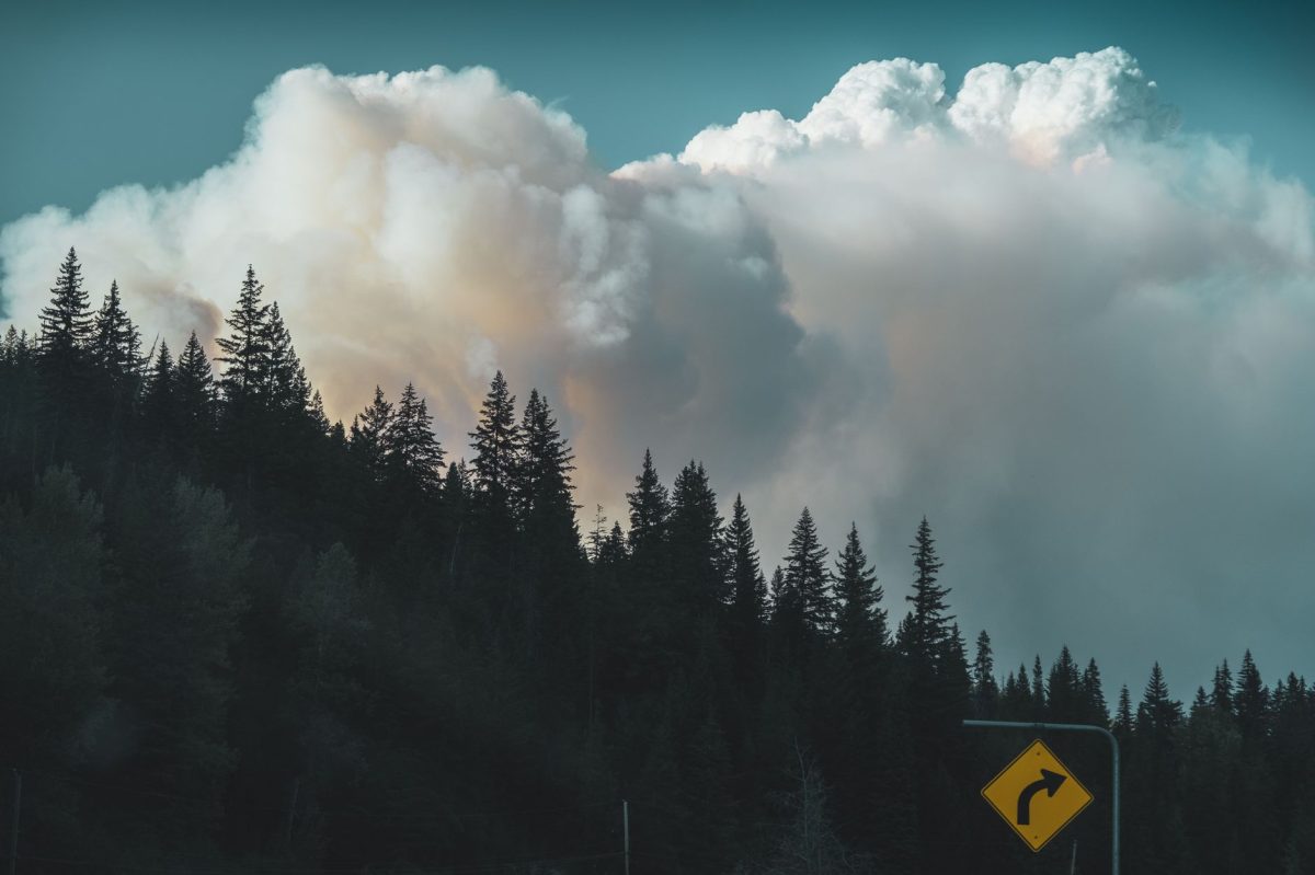 Is the Southern France Wildfire Actually as Serious as Everyone Says?