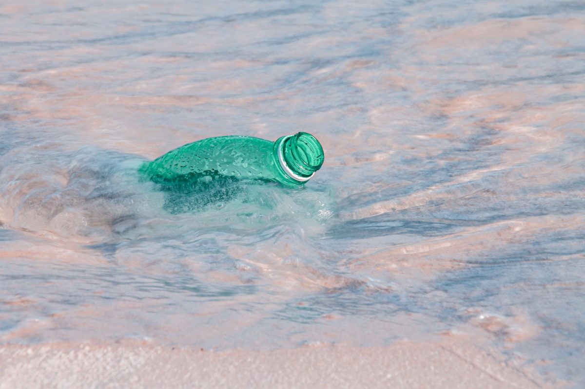 Tiny Ecosystem Discovered in Bottle Cap off Kochi, India