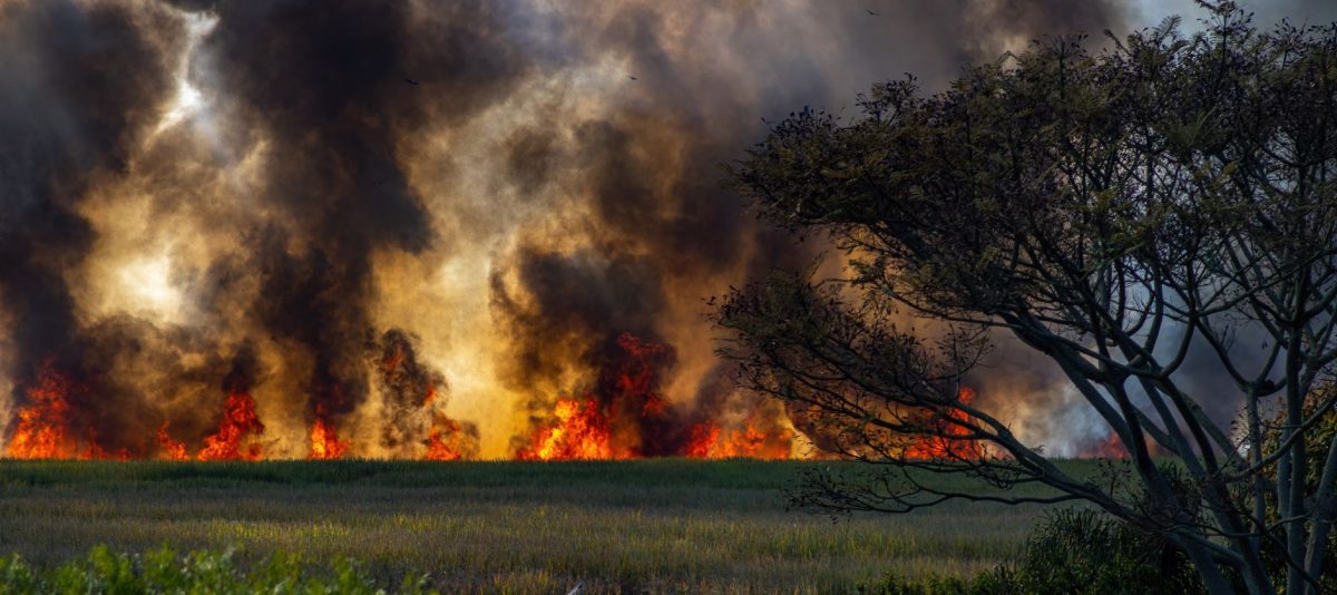 20,000 Evacuated in South-West France Amid Widespread Wildfires