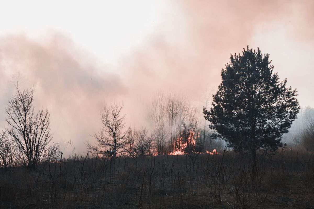 Expose: The Real Reason Behind Europe's Escalating Heatwaves and Wildfires