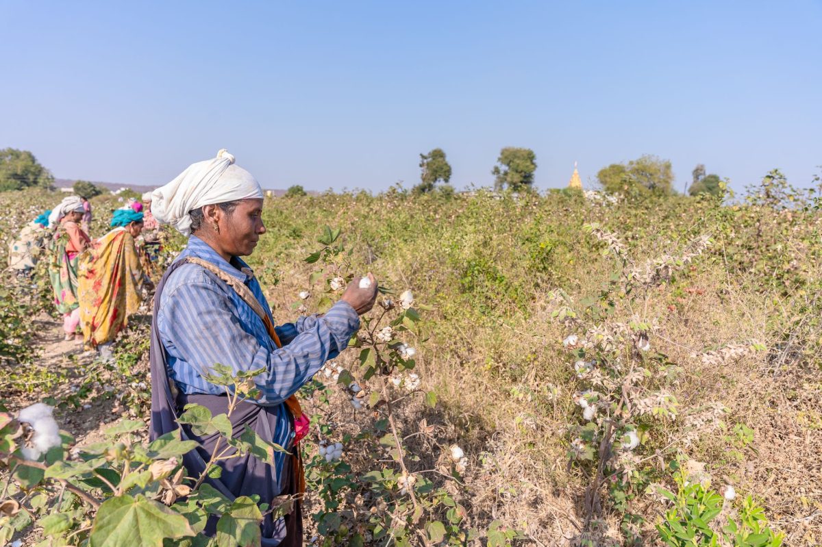 Hidden: The Part of Ethiopia's Cotton-to-Clothing Value Chain That's Not Getting Enough Attention