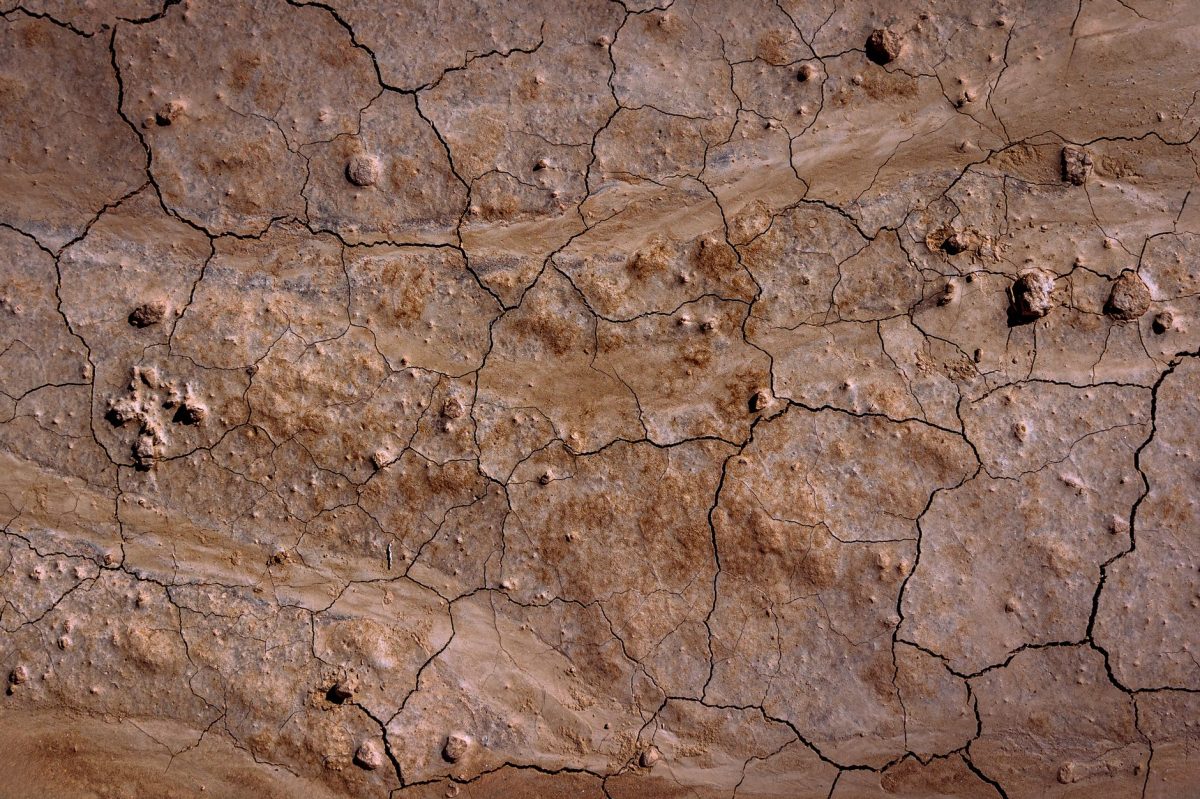 NASA's Curiosity Mars Rover Inspects Cracked Wheel Photo of the Day for July 24, 2026