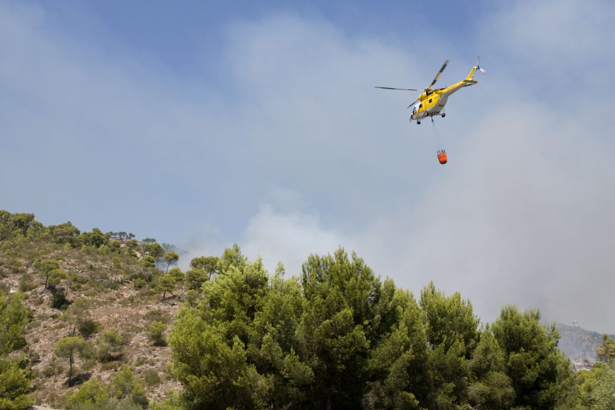 Stakes: EU Wildfire Strategy Fails Southern Europe, Thousands Evacuated