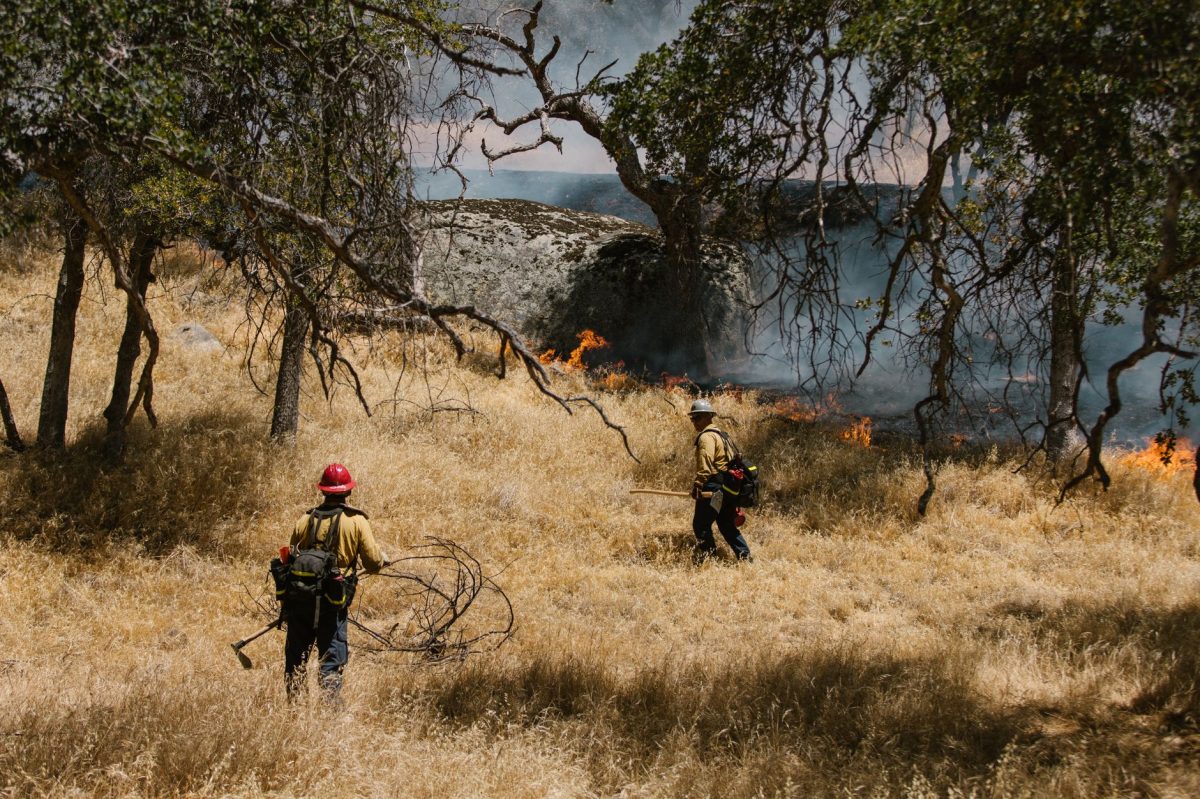 Hidden: The Part of France's Southwest Heatwave That the Media Is Not Telling You