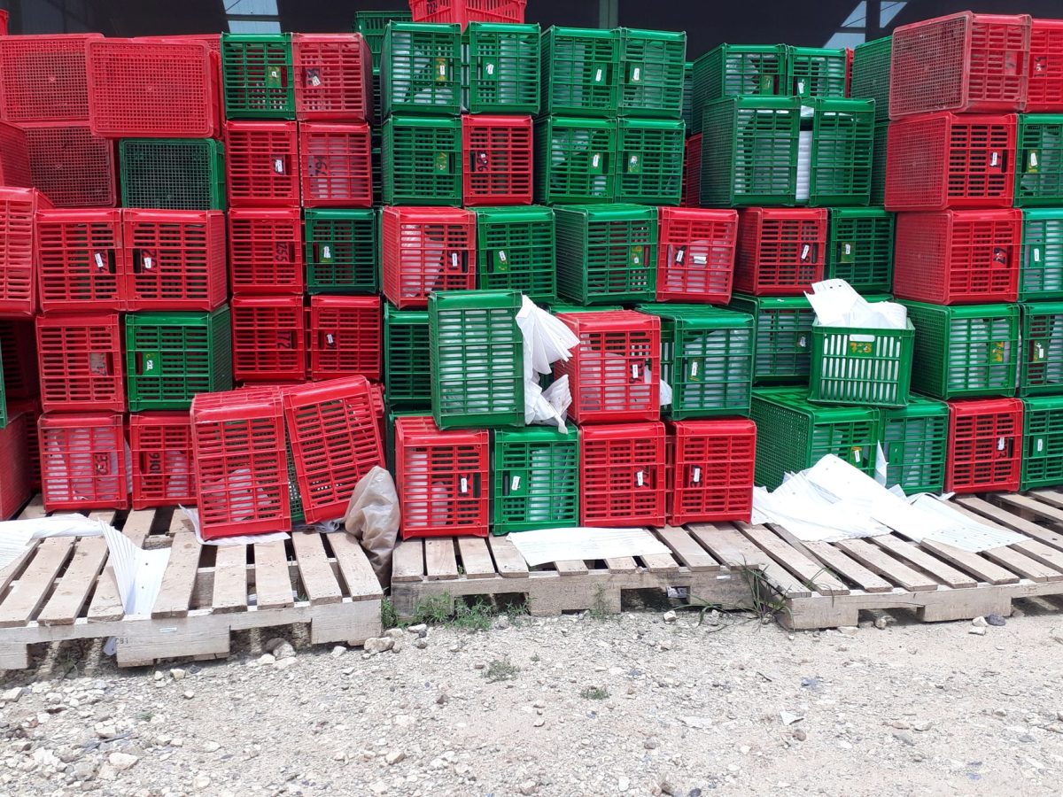 Successful Raids Fail to Halt Illicit Tobacco Trade Due to Scale of Operation