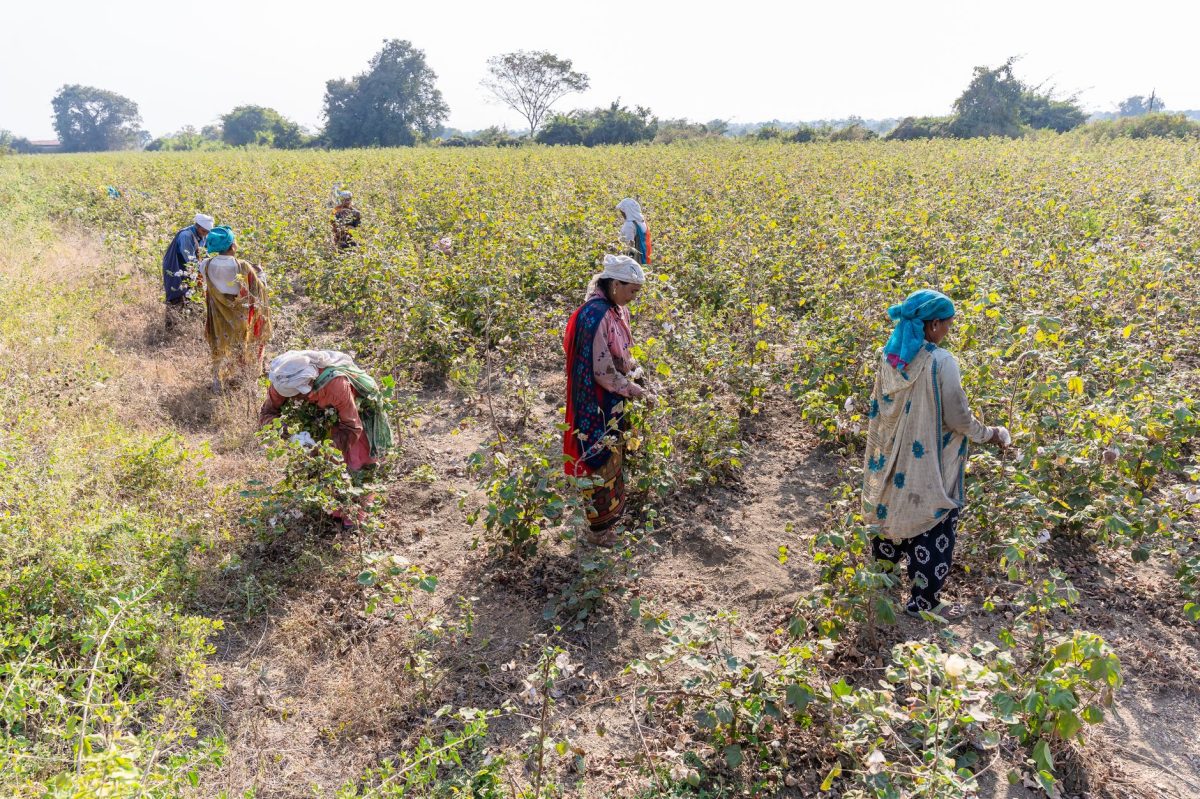 Africa's Cotton to Cloth Conundrum: The Unaddressed Trade Inequality