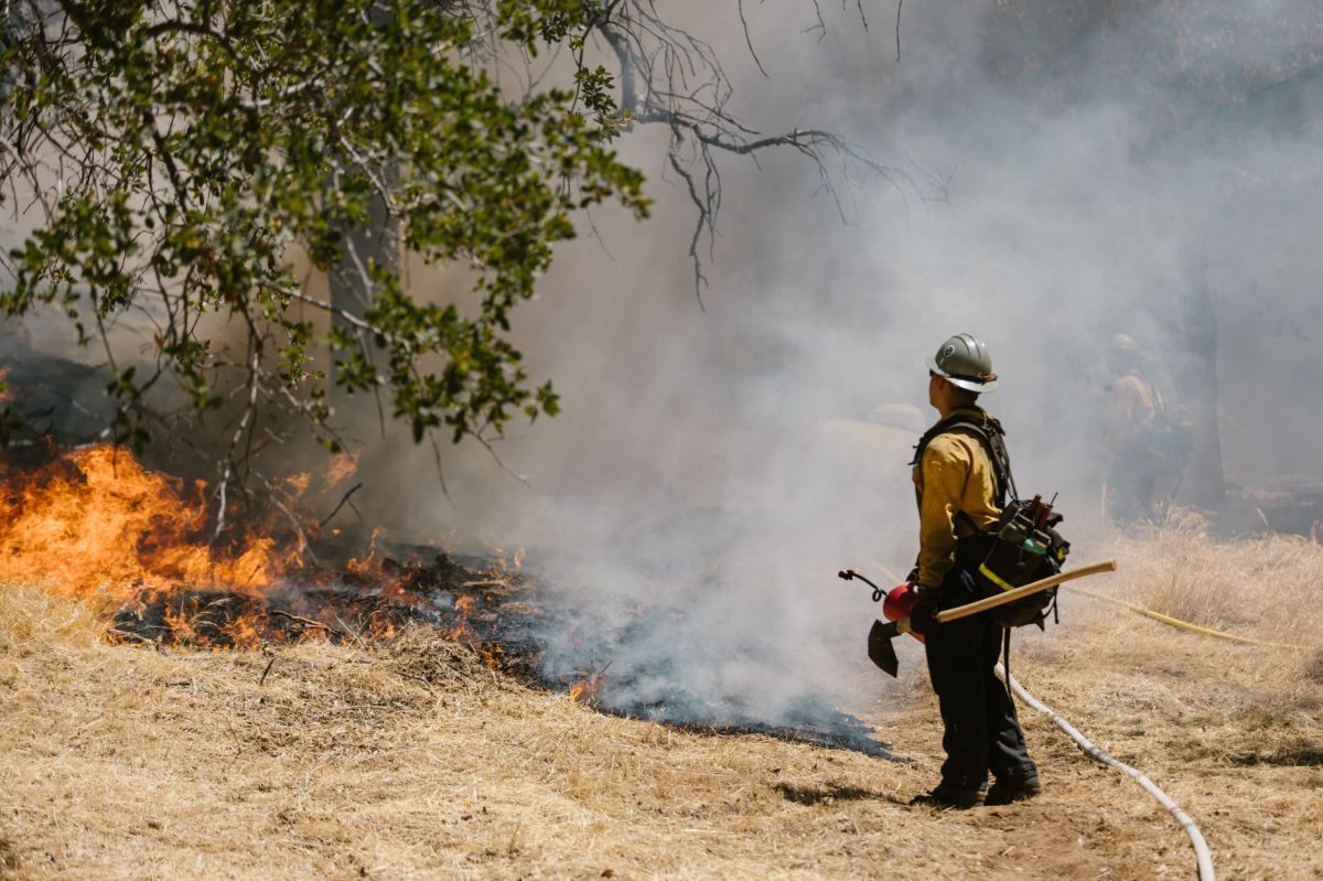 Gironde Megafire Contained: Nearly 3,000 Firefighters Remain Deployed