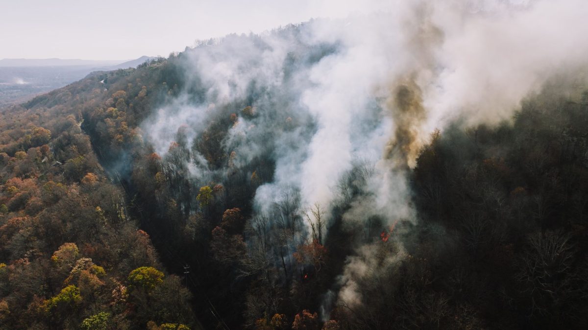 Summer Wildfires Devastate Washington, School Shooting in Thailand, and Historic Tour de France Femmes